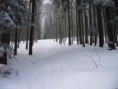 /album/a4-2-beskydy-prochazkou-na-ostry/p1050648-jpg/