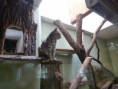 /album/a25-4-zoo-jihlava-nejzapadnejsi-moravske-mesto-polovina-lezi-v-cesku-a-polovina-na-morave/p1020270-jpg/